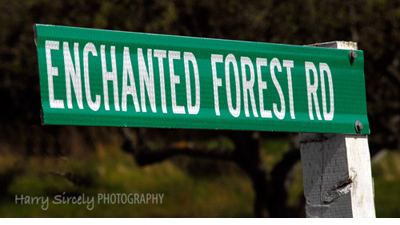 Enchanted Forest Road sign in Eastsound, WA Enchanted Forest Road sign in Eastsound, WA
